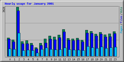 Hourly usage for January 2001